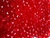 Bag Micheli - loja online