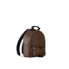 LOUIS VUITTON PALM SPRINGS en internet