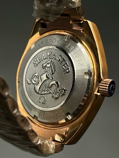 Imagen de SEAMASTER PLANET OCEAN