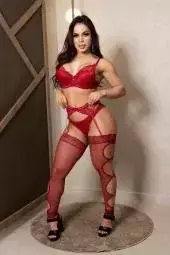 CONJUNTO DE LINGERIE VERMELHO COM CINTA LIGA CALCINHA SENSUAL na internet