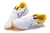 Chuteira Supreme x Nike SB Gato Futsal na internet