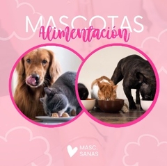 Imagen de Mascotas Sanas