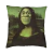 Capa Para Almofada Shrek Lisa