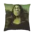 Imagem do Capa Para Almofada Shrek Lisa
