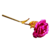 Rosa Amor Eterno - loja online