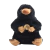 Pelúcio