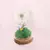 Cúpula Forever Dandelion - Com Amor Van Gogh | Alianças, Presente E Decoração, Capas De Celular