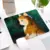 Mouse Pad - comprar online