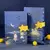 Caderno Cat Starry Night - comprar online