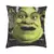 Capa Para Almofada Shrek Lisa - comprar online