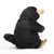 Pelúcio na internet