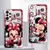 Capa Minnie na internet