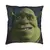 Capa Para Almofada Shrek Lisa - comprar online