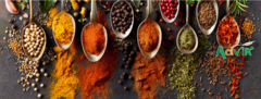 Banner da categoria TEMPEROS