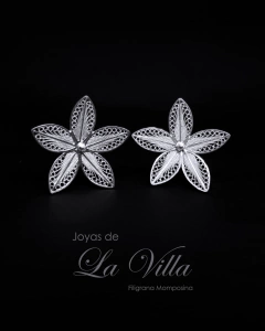 aretes en filigrana momposina, plata ley 950, Mompos, Mompox, aretas, joyas de la villa