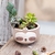 BOWLS ANIMALITOS AP - Cositas Lindas