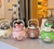 BOTELLA DOBLE PICO BEAR BUBBLE 1100 L