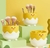 ORGANIZADOR CHICKEN CON DIVISIONES