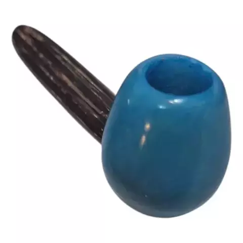 PIPA AMAZONAS SEMILLA AMAZONA LARGA /lasmilcasitas