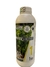 BIO PROYECT HIDRO VEGE 1 1 litro /lasmilcasitas