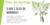 Imagem do KIT SHAMPOO + CONDICIONADOR HIDRATANTE MORINGA CERAMDAS UPPER 400 ml