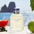 Light Blue Dolce Gabbana EDT Masc - comprar online