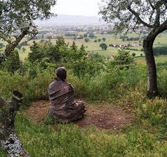 Reiki + Coaching Energético