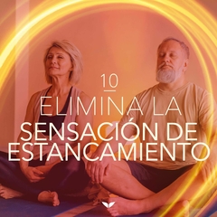 Abundancia Infinita - Christine Sheldon en internet