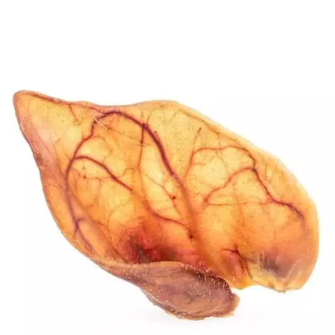 Orelha Suina - 2un - Budopet