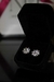 Aretes Loto en internet