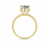 Anillo Oval en internet