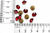 Sobres Strass Siam Por 1 Gruesa - comprar online