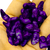 Imagen de Caracol Con Perla Violeta Bag Por 1 Kilo