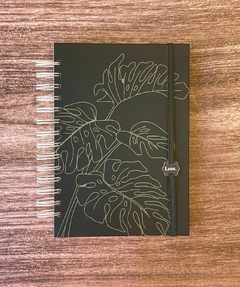 Monstera