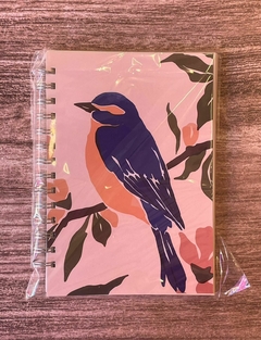 Pajarito