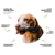 Imagem do Kit Bio Bone - Fibra de Laranja e Cana de açucar