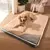 Hoopet - Cama para Pet - comprar online