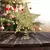 Topo da Árvore de Natal de Ouro - Estrela De Ferro - SpeedBuys