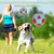 Hoopet - Bola Luminosa para Cães e Gatos na internet