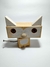 Gato de Madeira