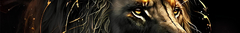 Banner da categoria Leões