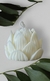 Vela Aromática Lotus - comprar online