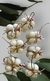 Vela Aromática Bublee decorada