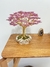 Cerejeira sakura - comprar online
