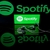 Spotify Original 6 Meses Individual
