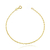 Pulseira Carrier Cadeado 2mm (Fecho Tradicional) (TAG 18K) (Banho Ouro 18k)