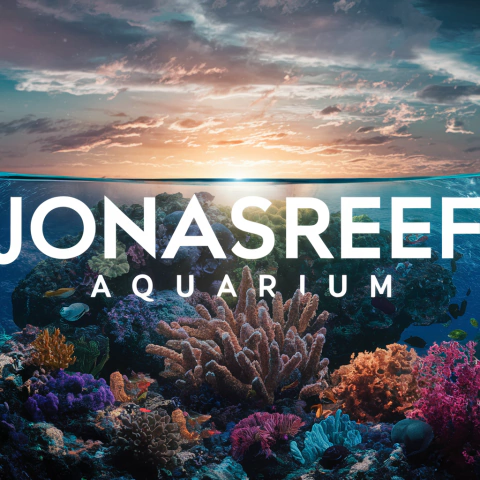 acuario Jonasreef