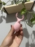 Vibrador Alce