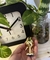Plug Anal Tamanho M- Dourado - coração - comprar online
