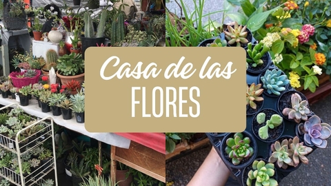 Carrusel casadelasflores